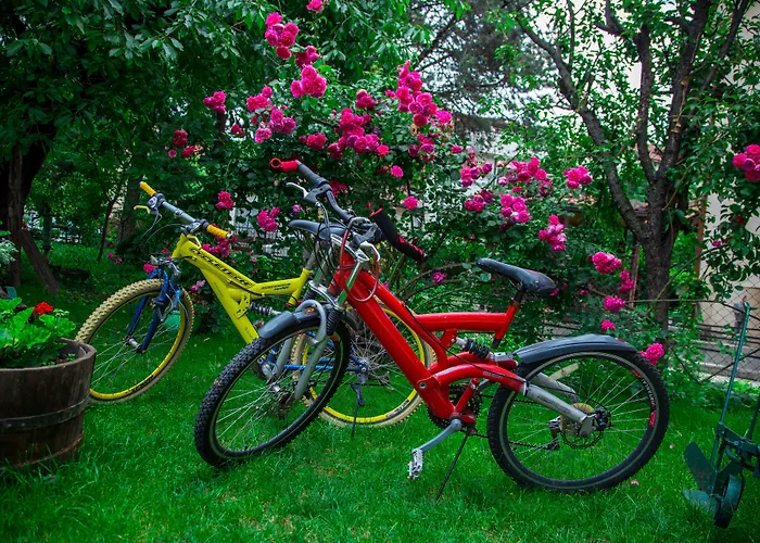 Pine 2* スコピエ